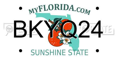 BKYQ24 Florida License Plate