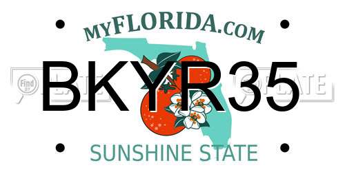 BKYR35 Florida License Plate