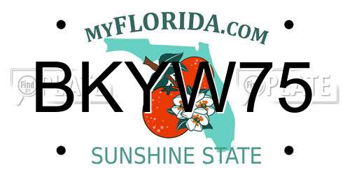 BKYW75 Florida License Plate