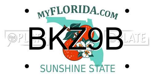 BKZ9B Florida License Plate
