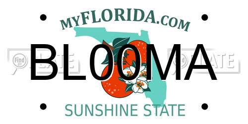 BL00MA Florida License Plate