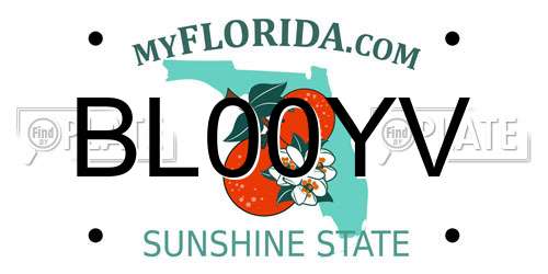 BL00YV Florida License Plate