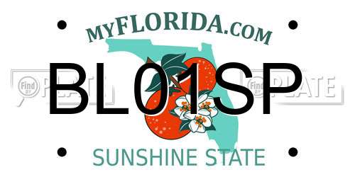 BL01SP Florida License Plate