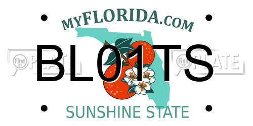 BL01TS Florida License Plate
