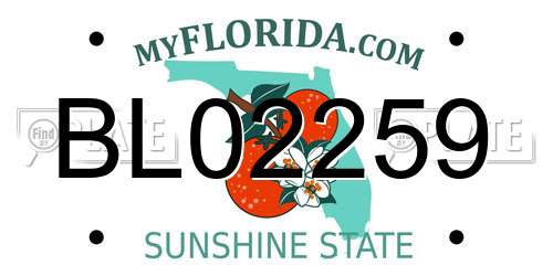 BL02259 Florida License Plate