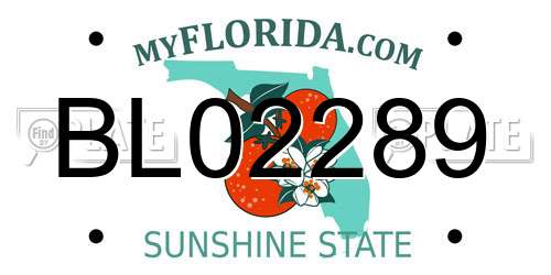 BL02289 Florida License Plate