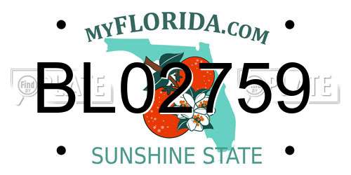 BL02759 Florida License Plate