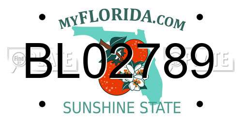 BL02789 Florida License Plate