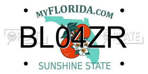 BL04ZR Florida License Plate