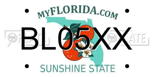 BL05XX Florida License Plate