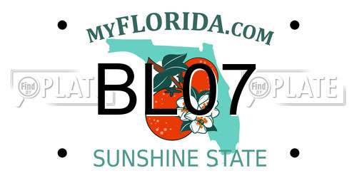 BL07 Florida License Plate