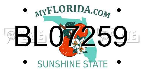BL07259 Florida License Plate
