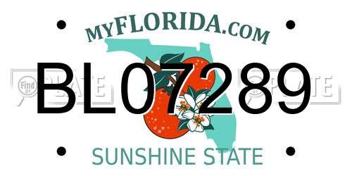 BL07289 Florida License Plate