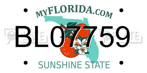BL07759 Florida License Plate