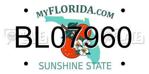 BL07960 Florida License Plate