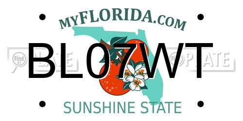 BL07WT Florida License Plate