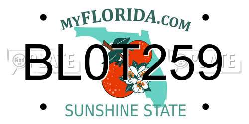 BL0T259 Florida License Plate