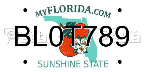 BL0T789 Florida License Plate