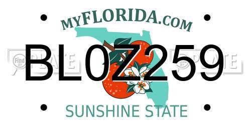 BL0Z259 Florida License Plate