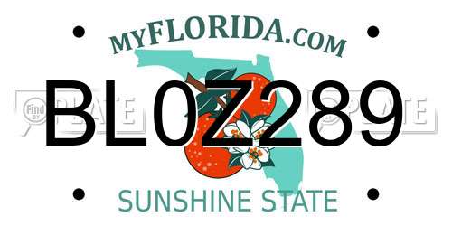 BL0Z289 Florida License Plate