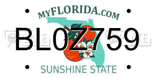 BL0Z759 Florida License Plate