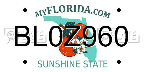 BL0Z960 Florida License Plate