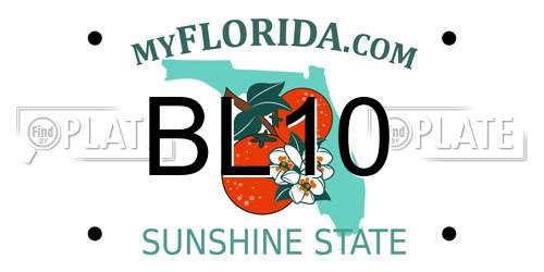 BL10 Florida License Plate
