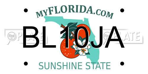 BL10JA Florida License Plate