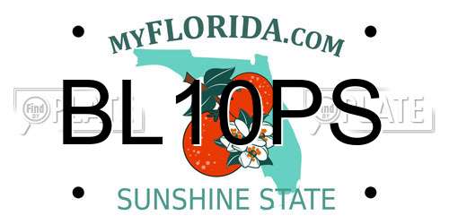 BL10PS Florida License Plate