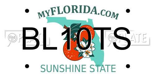 BL10TS Florida License Plate