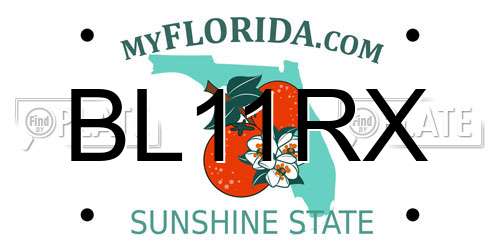 BL11RX Florida License Plate