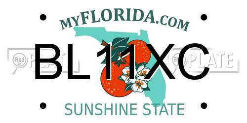 BL11XC Florida License Plate