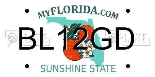 BL12GD Florida License Plate