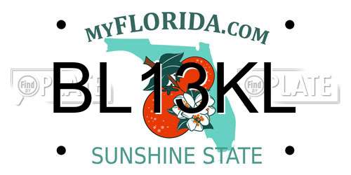 BL13KL Florida License Plate