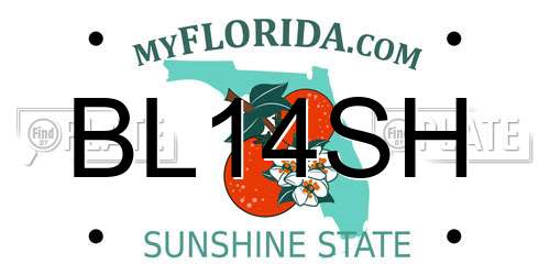 BL14SH Florida License Plate