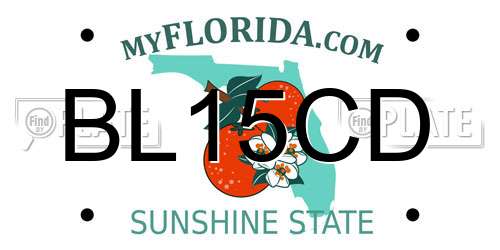 BL15CD Florida License Plate