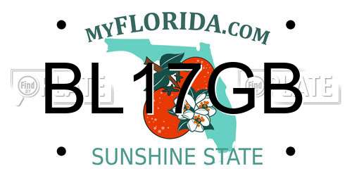 BL17GB Florida License Plate