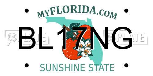 BL17NG Florida License Plate