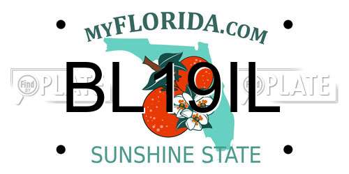 BL19IL Florida License Plate