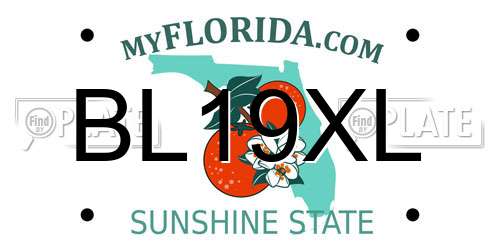 BL19XL Florida License Plate