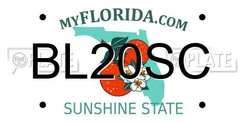 BL20SC Florida License Plate