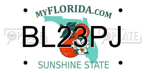 BL23PJ Florida License Plate