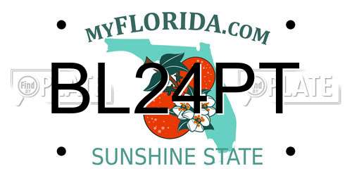 BL24PT Florida License Plate