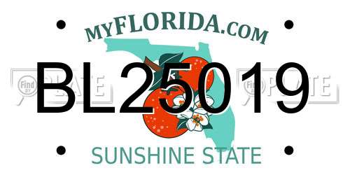BL25019 Florida License Plate
