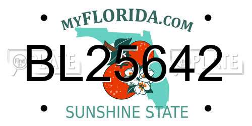 BL25642 Florida License Plate