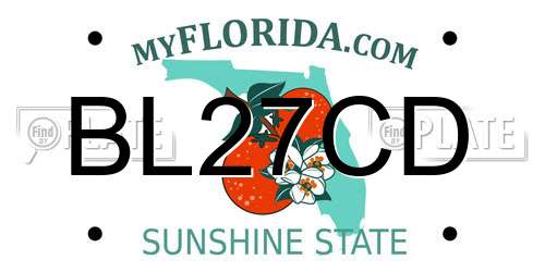 BL27CD Florida License Plate