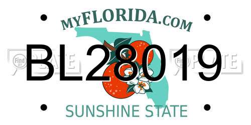 BL28019 Florida License Plate