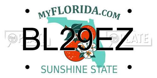 BL29EZ Florida License Plate