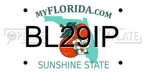 BL29IP Florida License Plate