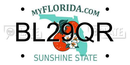 BL29QR Florida License Plate